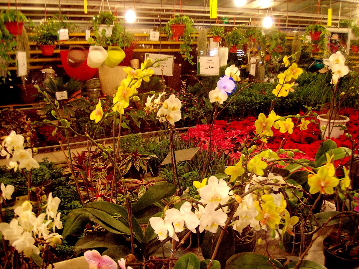 Tehran, Pasteur Sq., Glasshouse