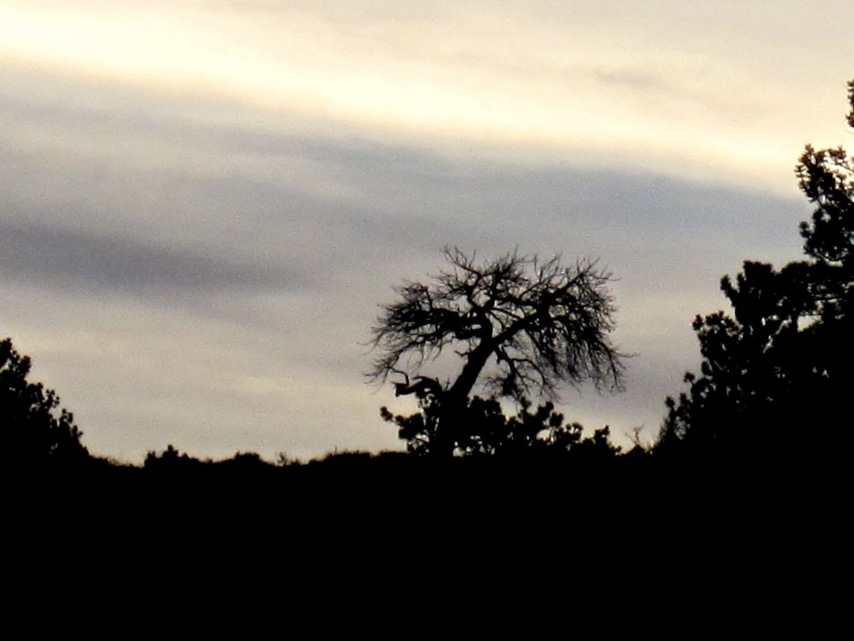 Court Gowdy Park, WY