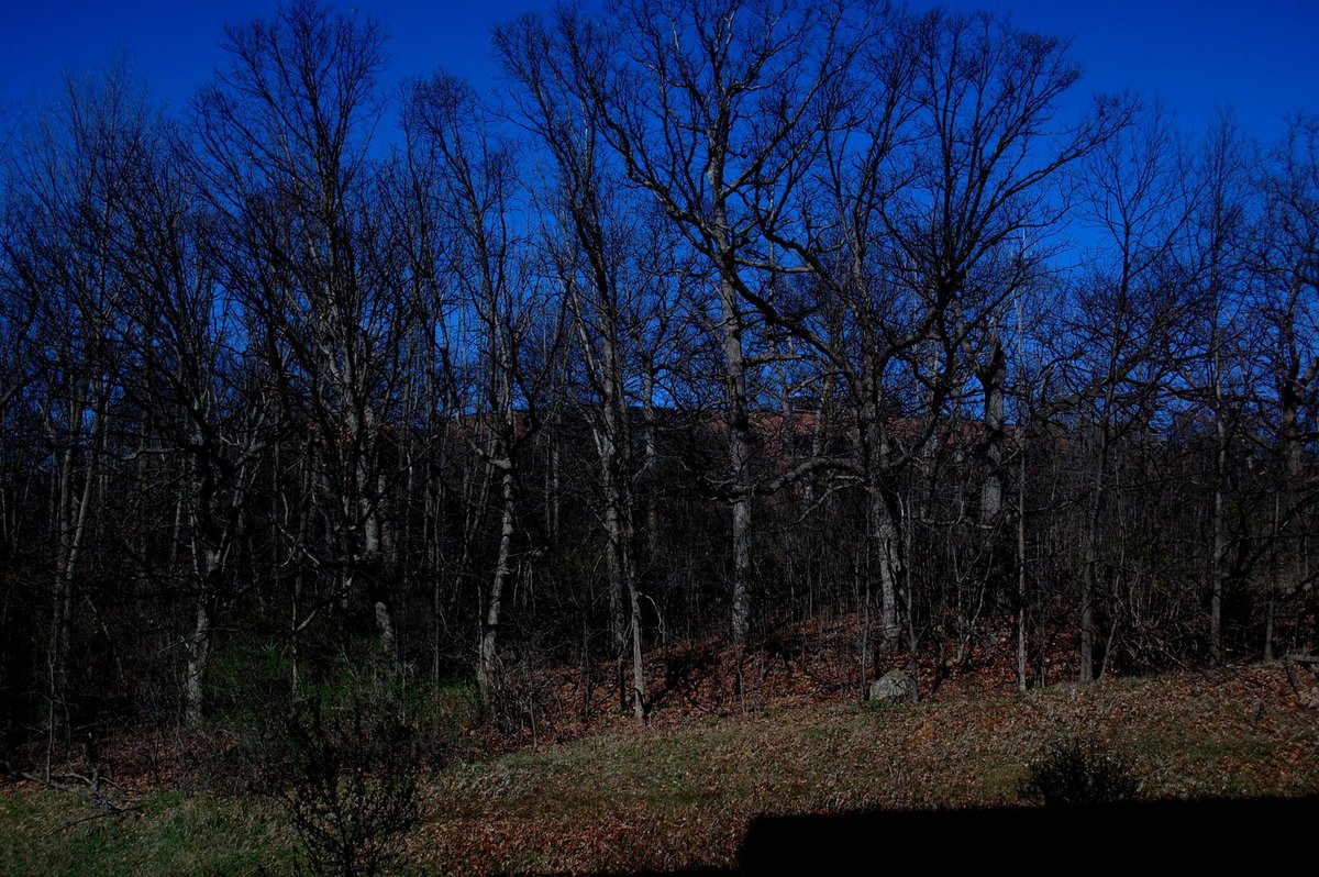 hotel-view-window-deer-etc
