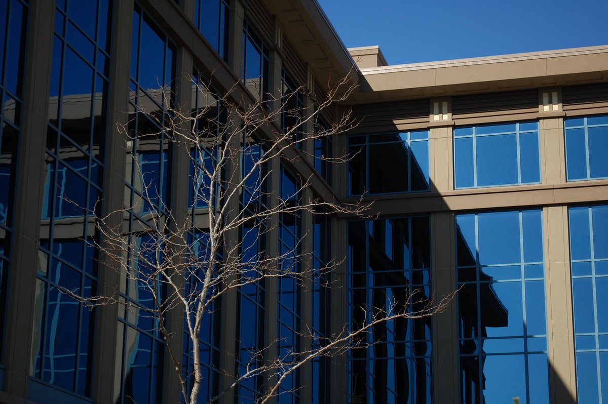 I reflected him and he thought it's himself