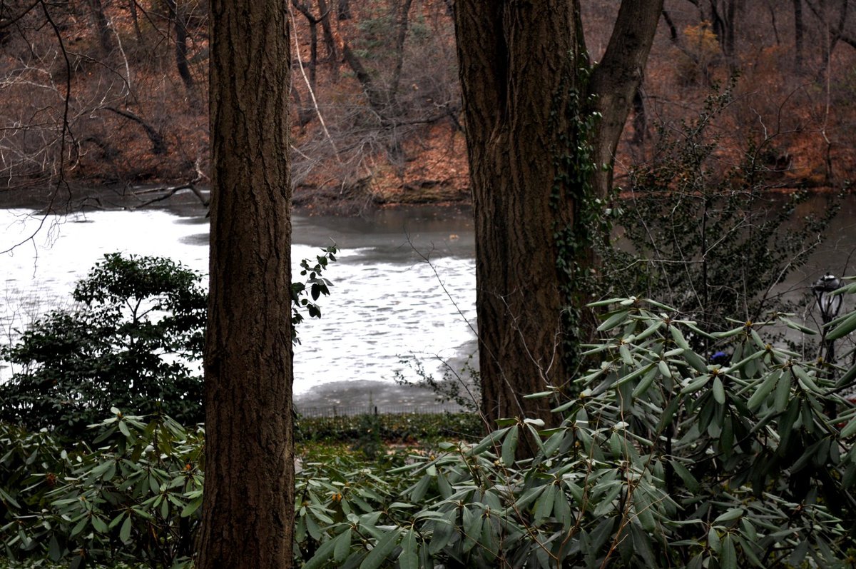 Central Park, NY