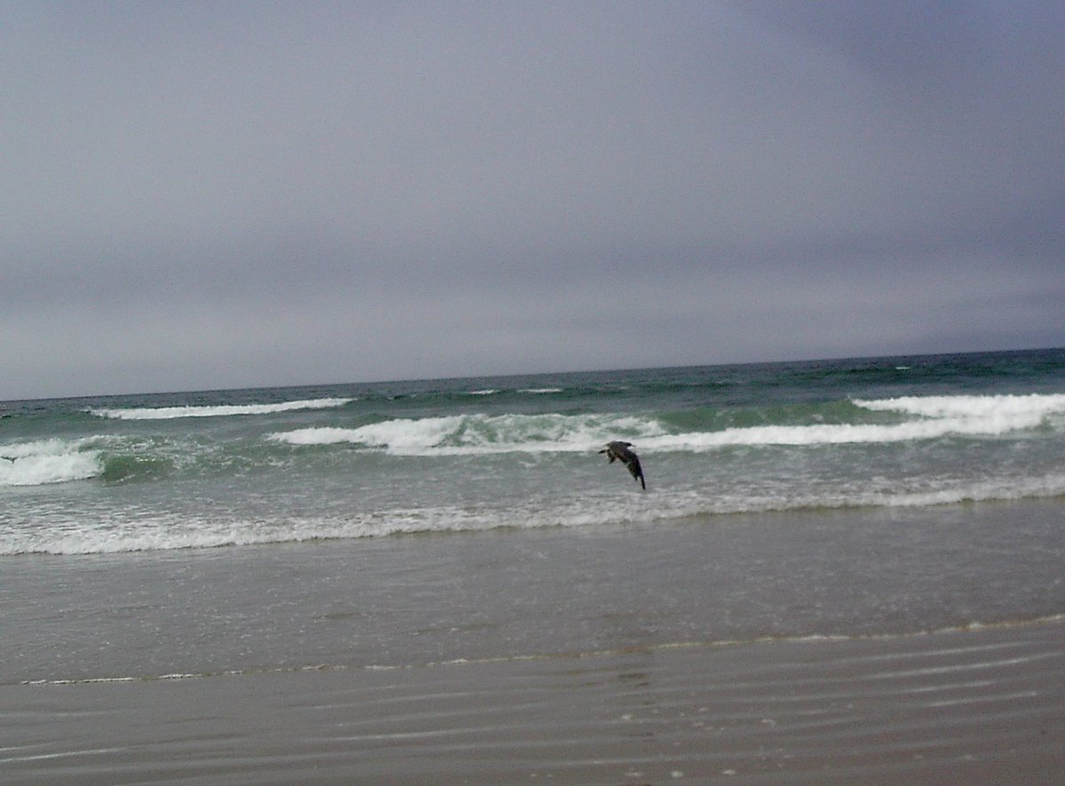 San Louis Obispo, CA