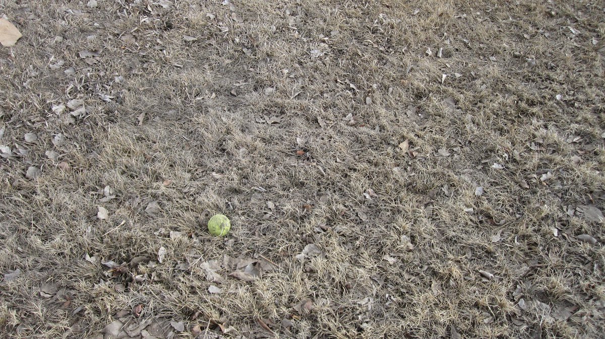 I'll be green someday