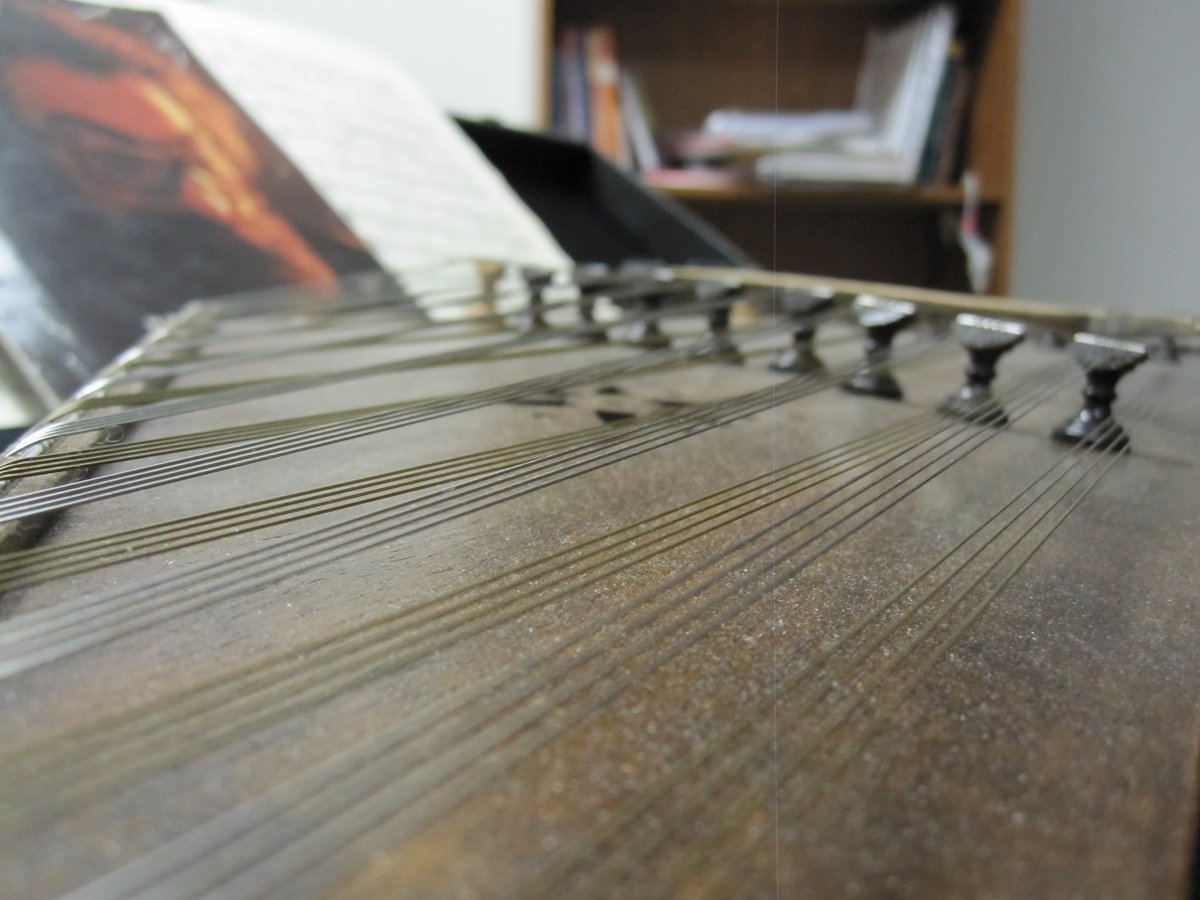 The first photo by my new camera :)