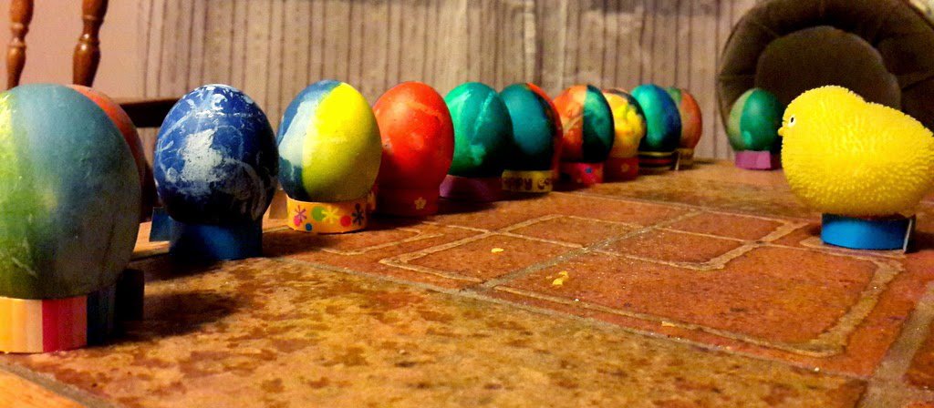 Bunnys come from the eggs