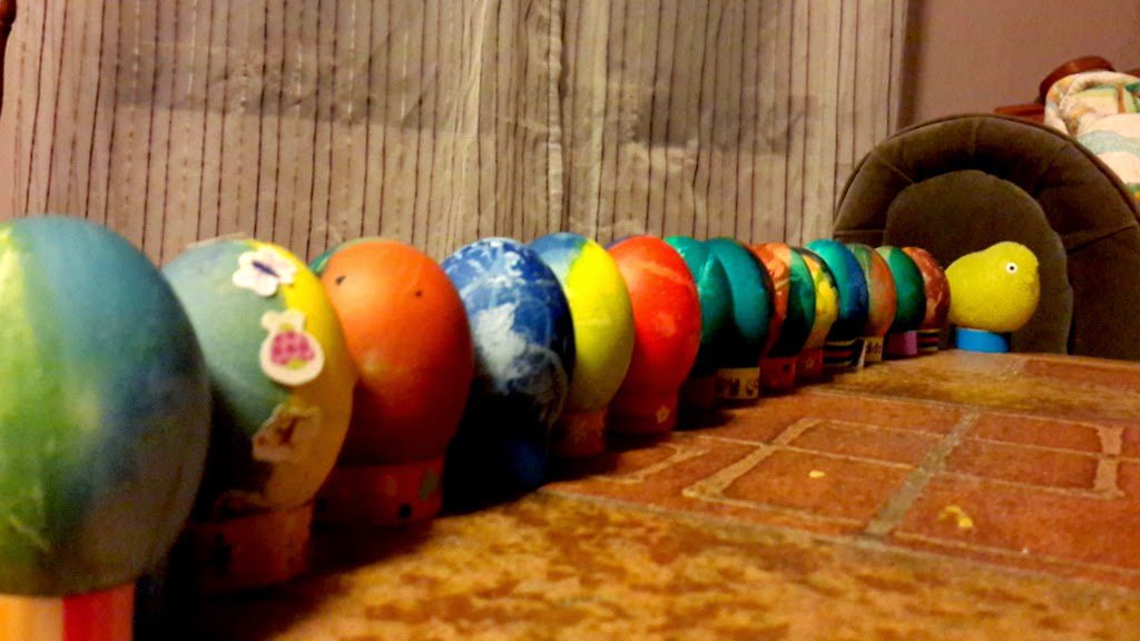 Bunnys come from the eggs