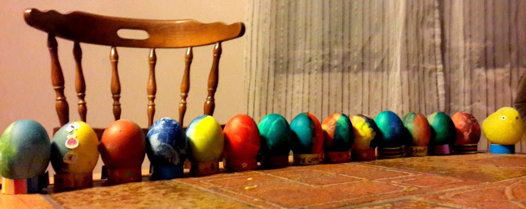 Bunnys come from the eggs