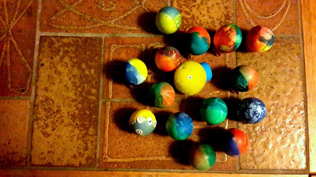 Bunnys come from the eggs