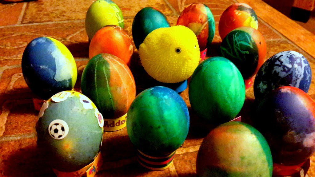 Bunnys come from the eggs