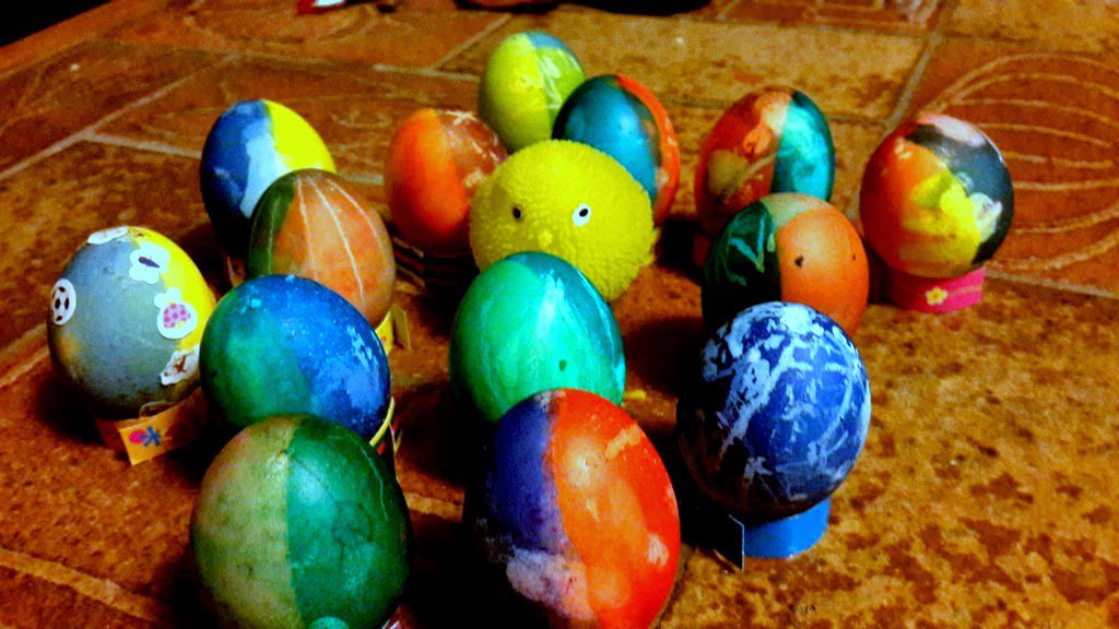 Bunnys come from the eggs