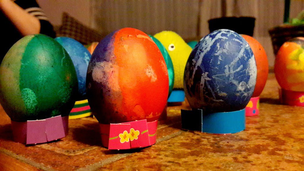 Bunnys come from the eggs