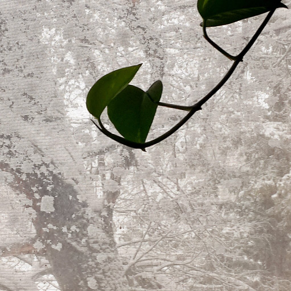 May, Wyoming, and snow