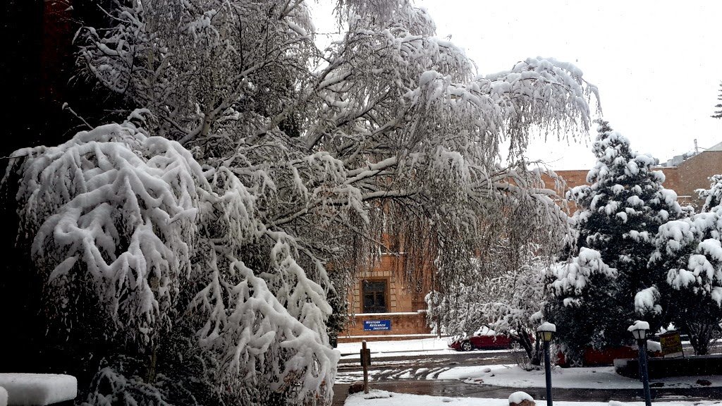 May, Wyoming, and snow