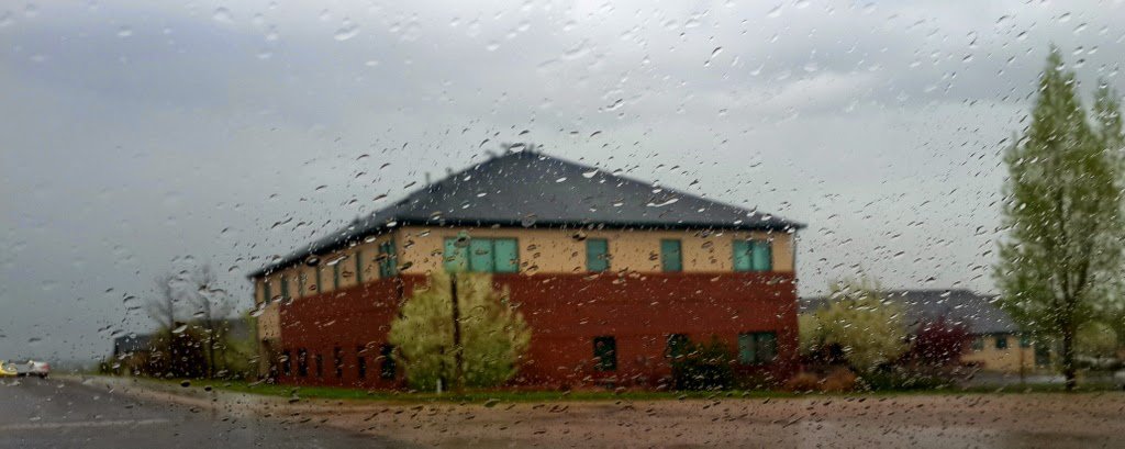 Cuz I'm a raindog too