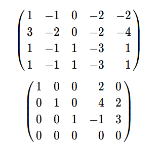 random echelon matrix